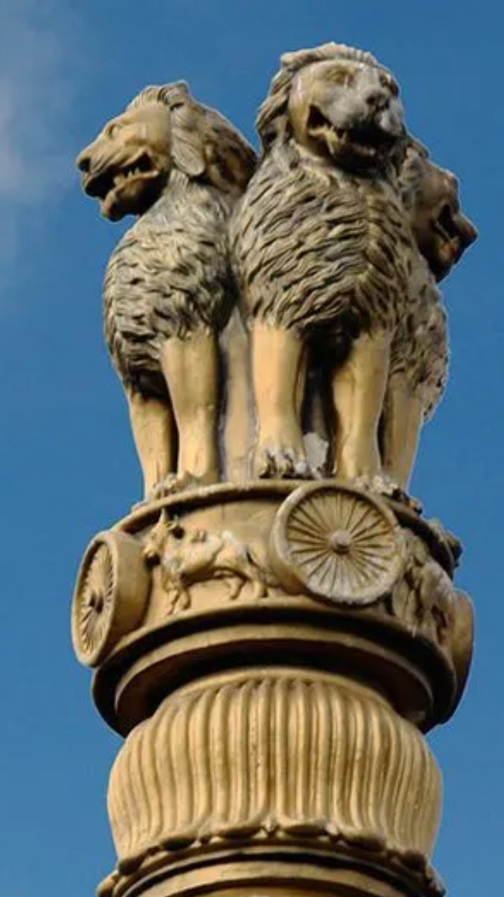 सारनाथ के स्तंभ में क्यों बने हैं ये 4 जानवर, क्या था अशोक का मकसद | Times  Now Navbharat, image size:720x1280