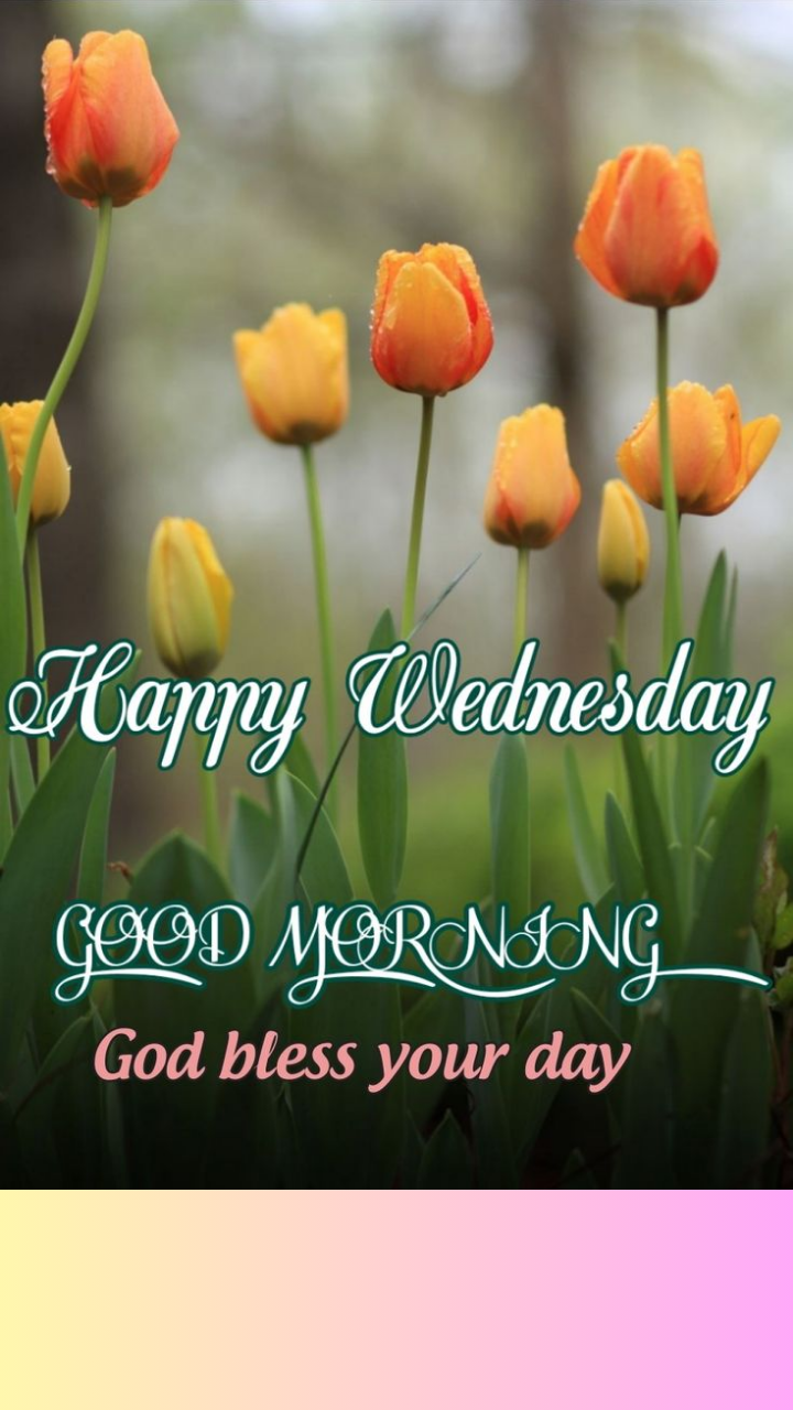 Wed morning wishes 60 photos - Astyledwedding.com