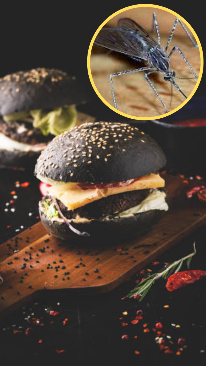 Fluffy Burger しなるビーター [ウッドもふ黒] 直輸入1本 mosquito burger is very famous in this country - प्रोटीन