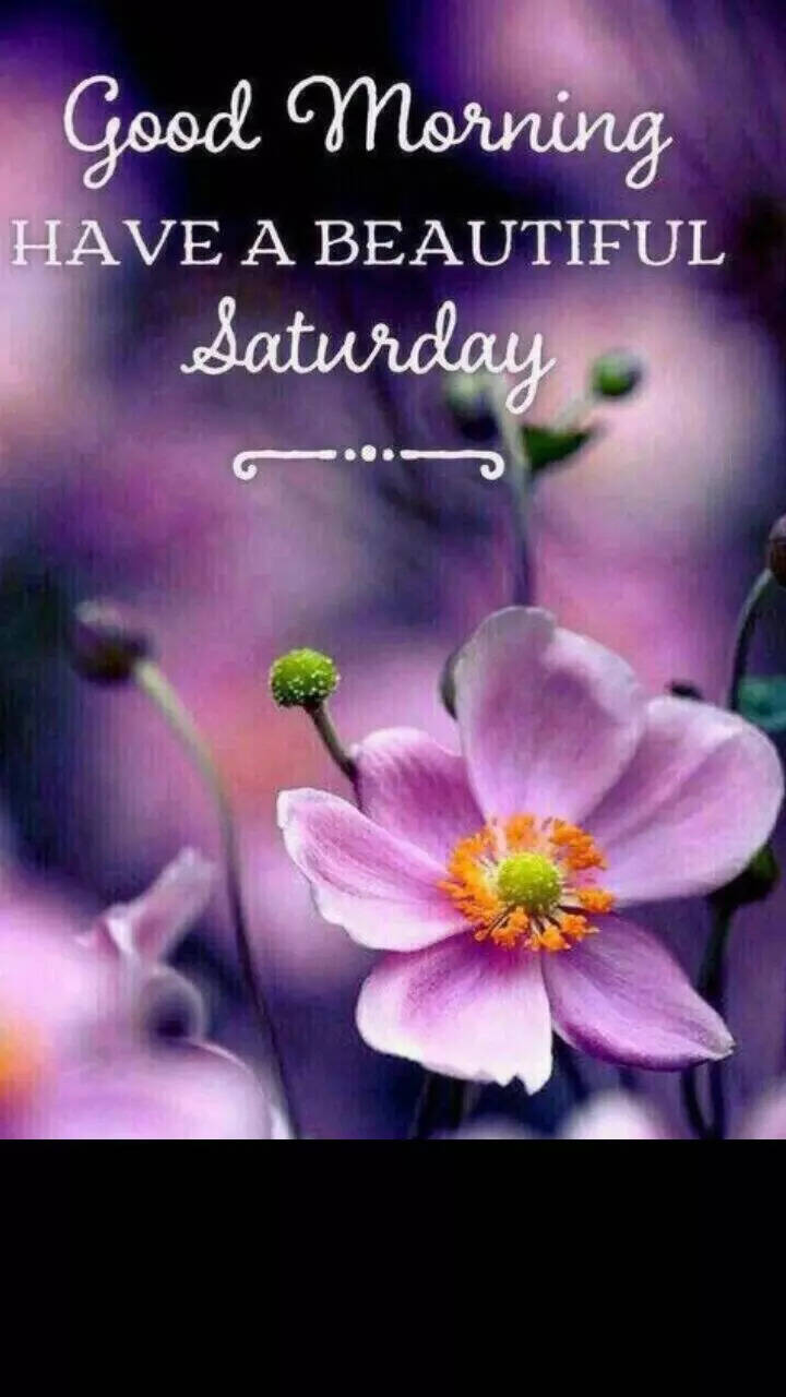 Good Morning Happy Saturday: Images and inspiring quotes to share on  WhatsApp