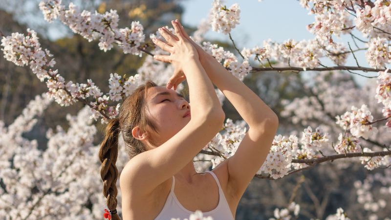 Can Japanese techniques transform your productivity? 8 Powerful methods ...