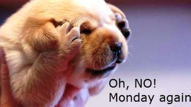 Absolutely hate Mondays? Here is how you can make the first day of the ...