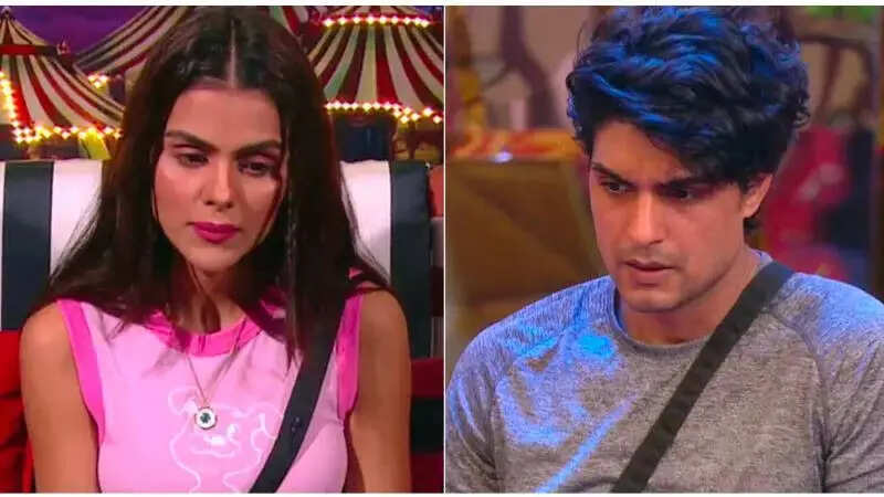 Bigg Boss 16: Priyanka Choudhary and Ankit Guptas friendship put to test while REAL Bigg Boss enter the house