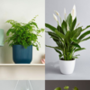 indoor small palm plants Nearly Natural 18in. Mini Areca Palm Artificial Plant in Floral Vase main image 1