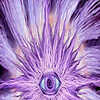 What are the most psychic zodiac signs 60 photos - Astrologytoyou.com