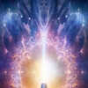 what does high vibration person mean What Does High Vibe Mean? Vibration Raising Secrets [Infographic] main image 1