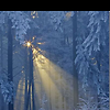 Fresh Winter Morning Quotes Winter Good Morning Images And Quotes To