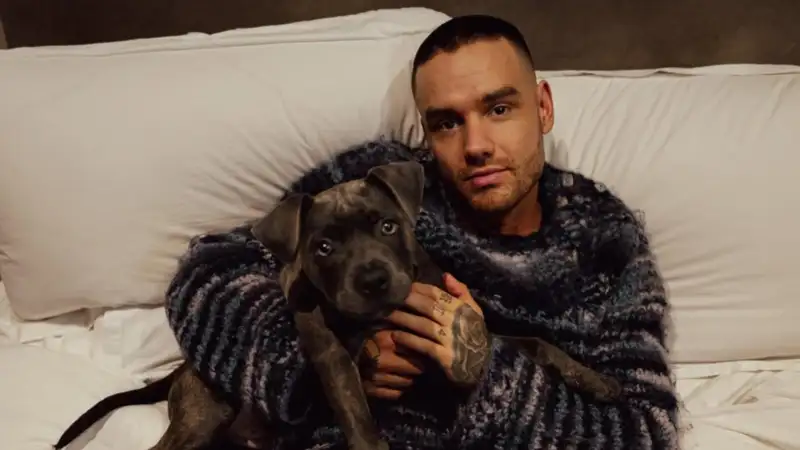 Liam Payne had recorded two albums before his death
