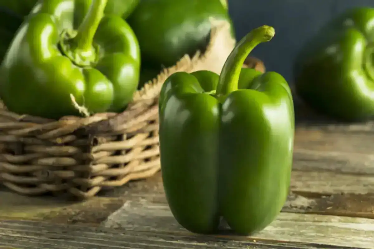 green bell peppers