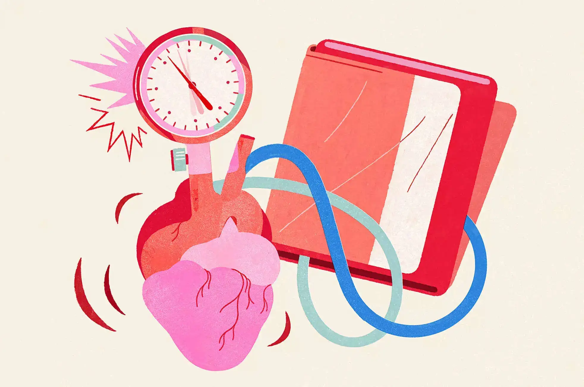 heart rate and blood pressure begin to normalize