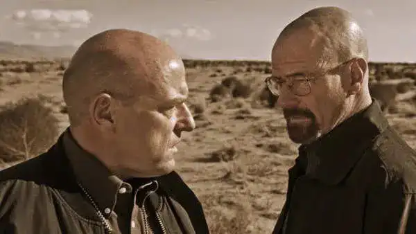 hank vs walt