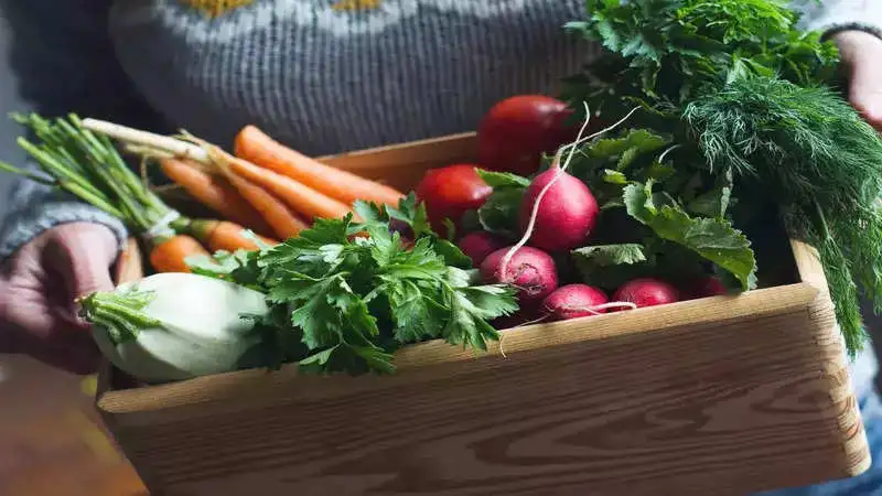 4 Seasonal veggies to help lower your bad cholesterol