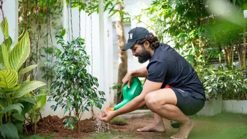 పర్యావరణం దినోత్సవం సందర్బంగా ఈ రోజు కూడా మొక్కలు నాటిన అల్లు అర్జున్