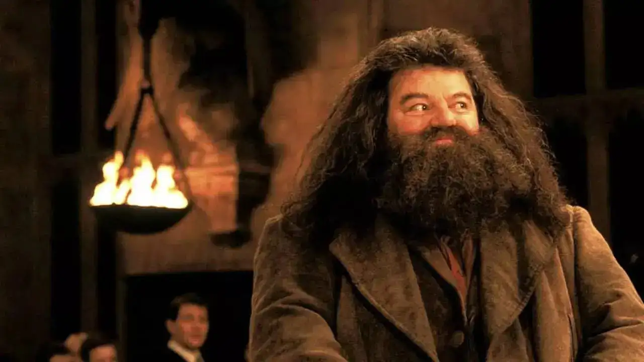 Rubeus Hagrid