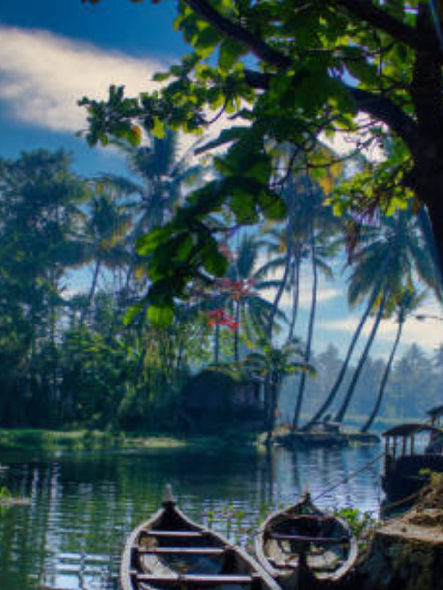 5 Breathtaking Destinations In India During Monsoon | Times Now