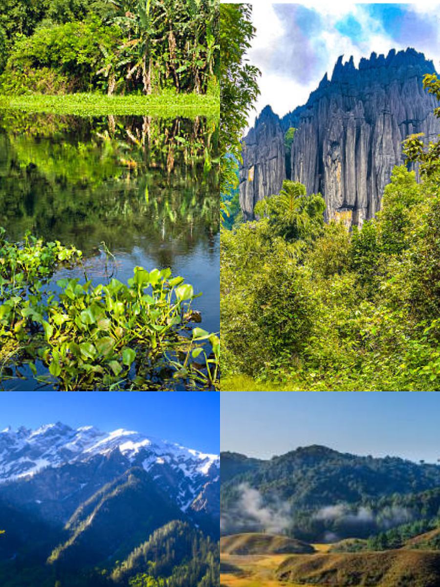 Pristine Paradises: The 6 Cleanest Cities Offering Natural Beauty In ...