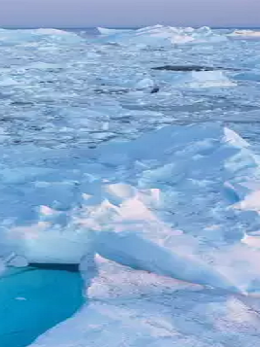 world's smallest sea Arctic Ocean | Times Now Navbharat