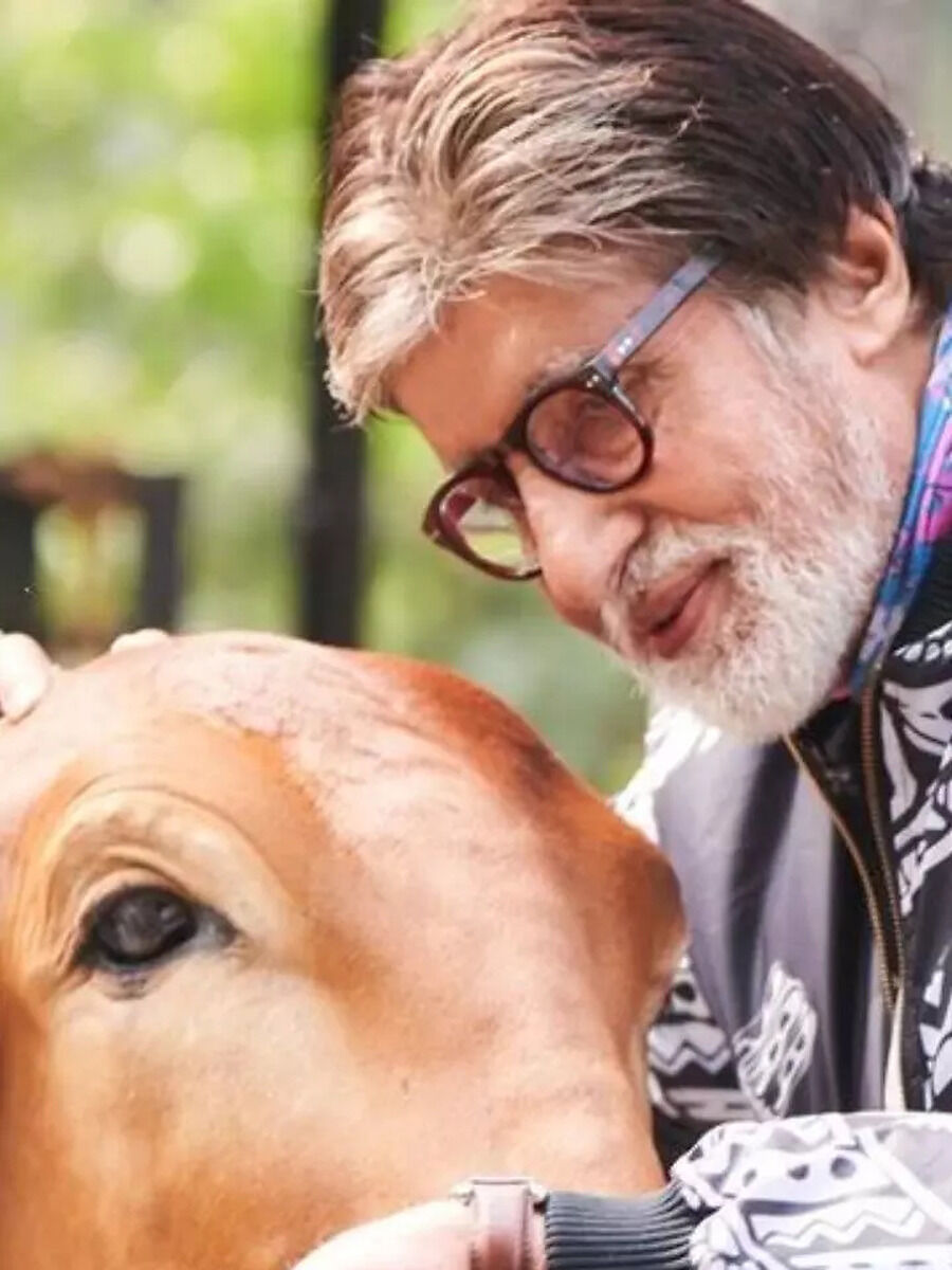 Numerology: 11th Date Born People Characteristics, Amitabh Bachchan ...