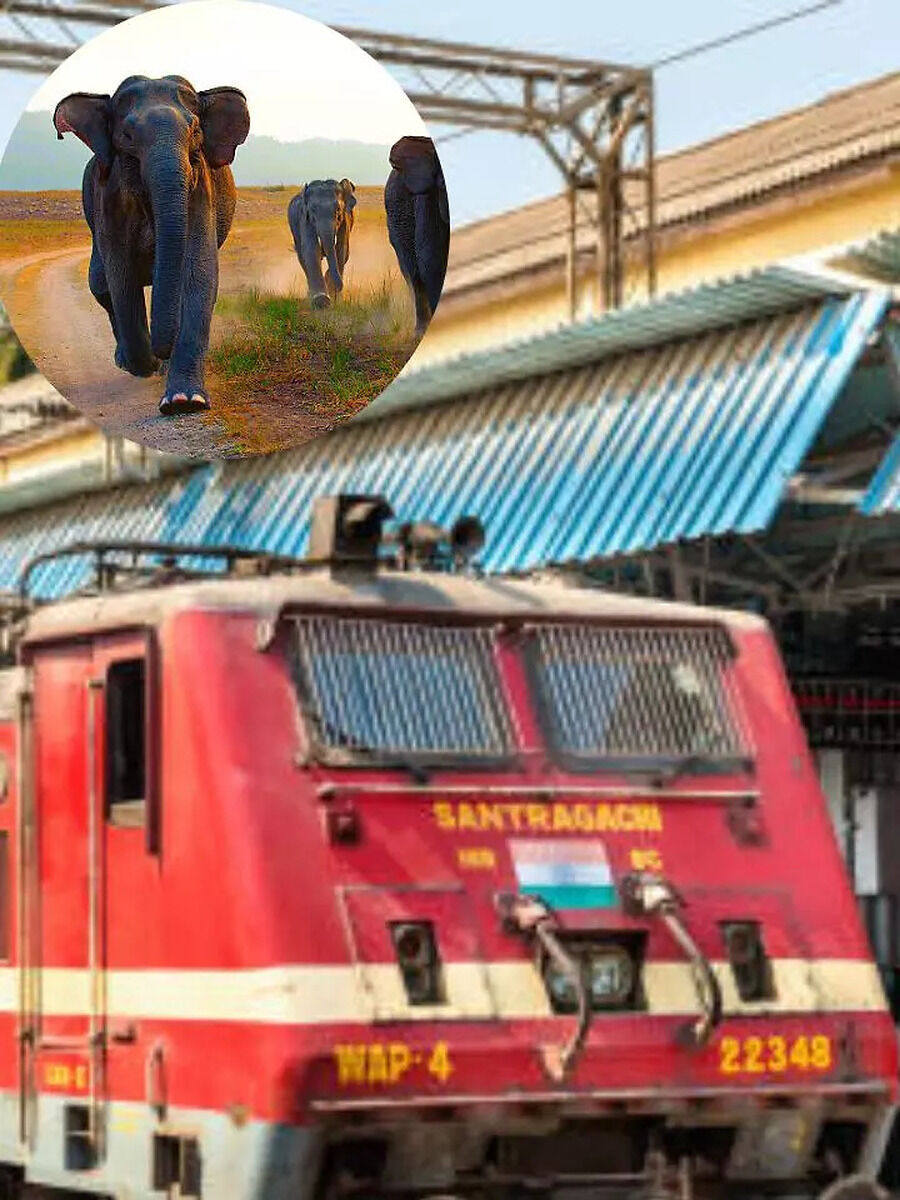 what is the weight of a train engine in kg 10 elephant cannot lift it ...