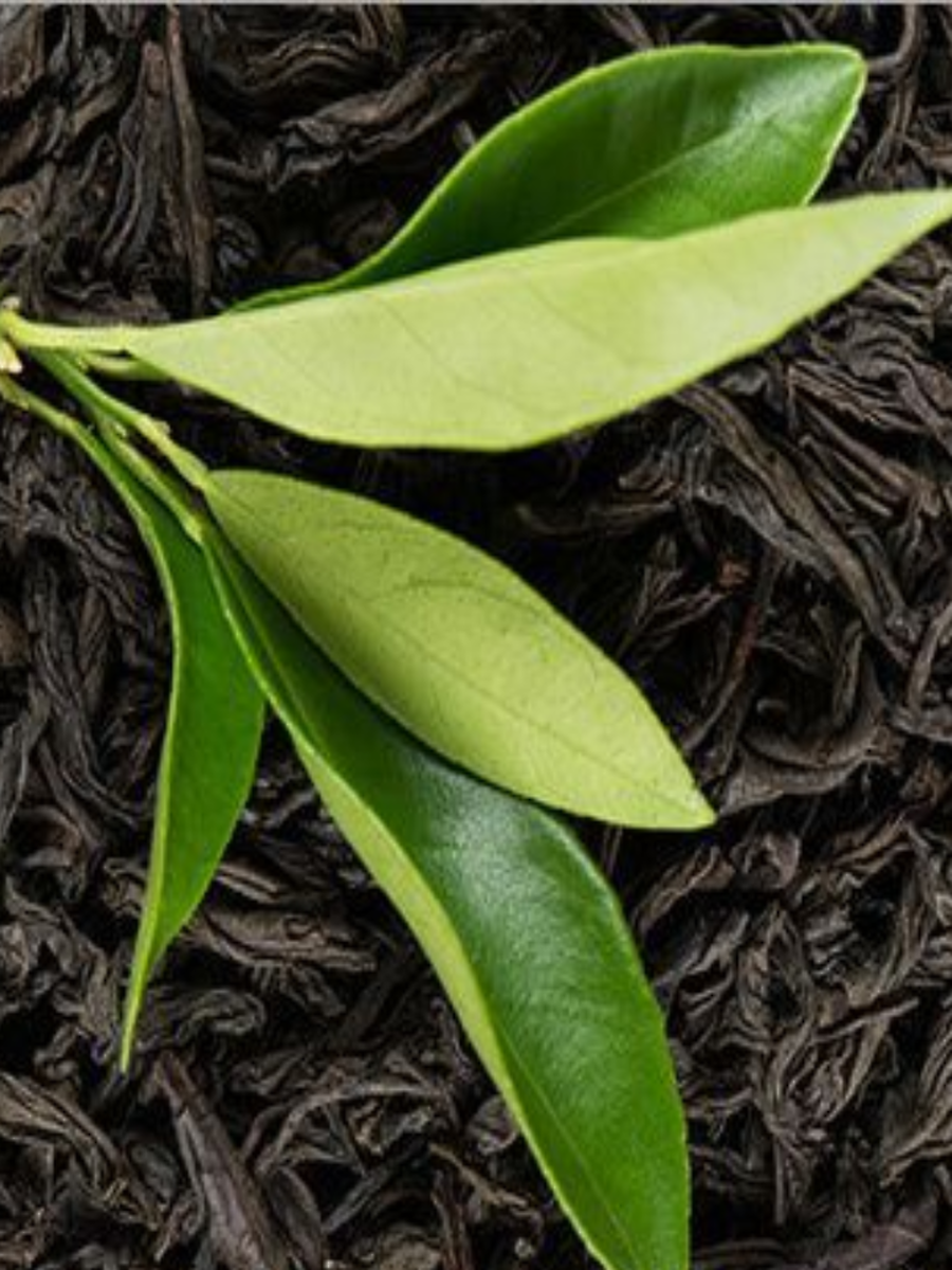 tea leaves are green so why is tea powder black - चहाची पाने हिरवी ...