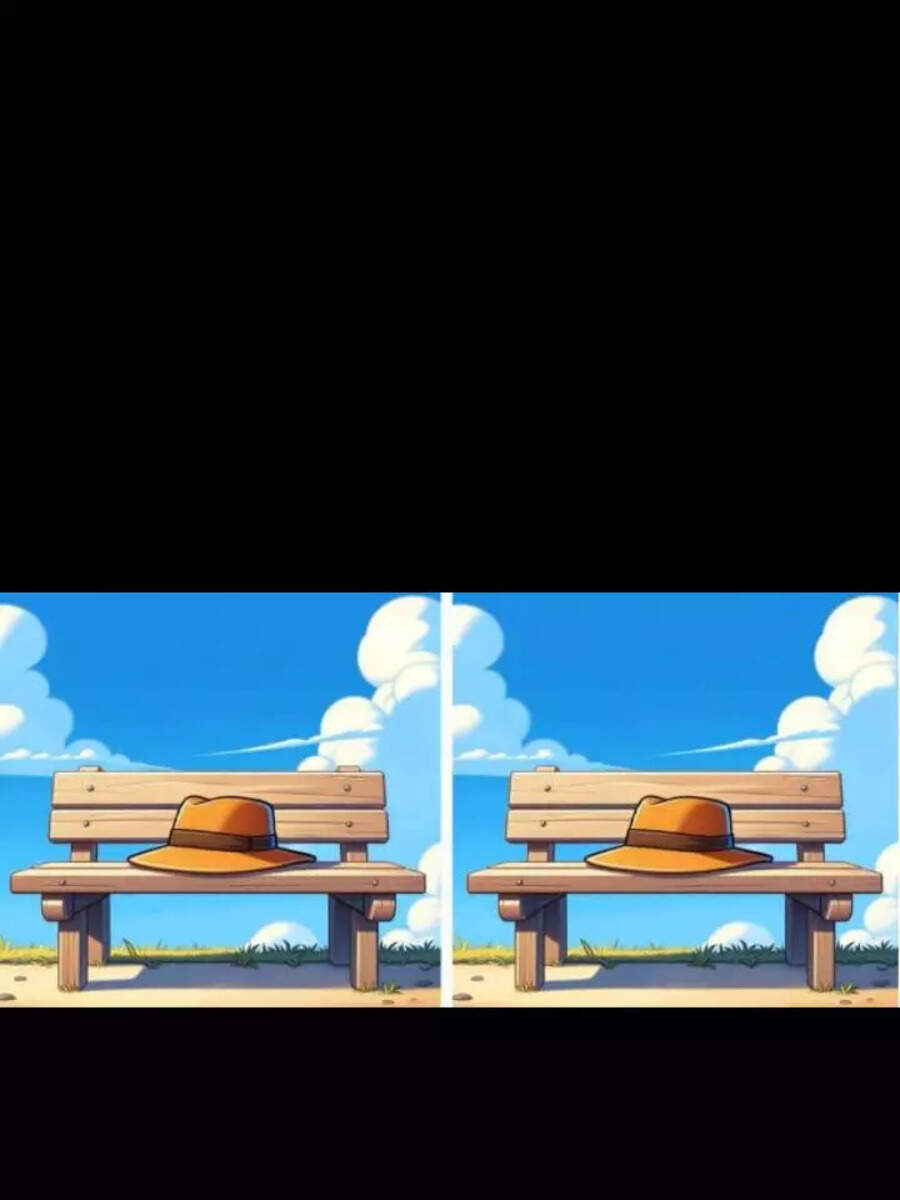 Puzzle Spot 3 Differences In The Image In 10 Seconds Times Now