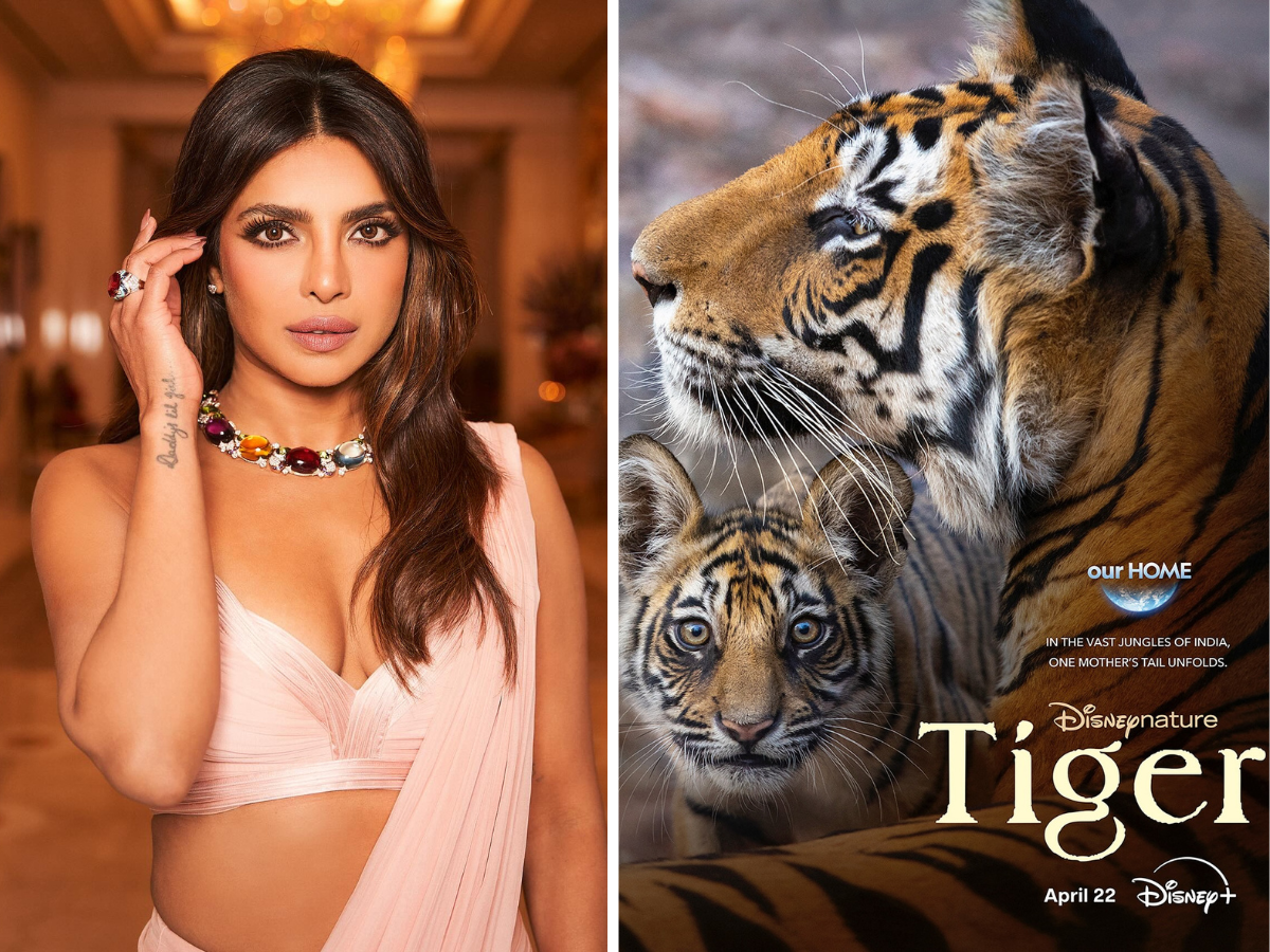 Priyanka Chopra to narrate the tale of tigress Amba in Tiger  