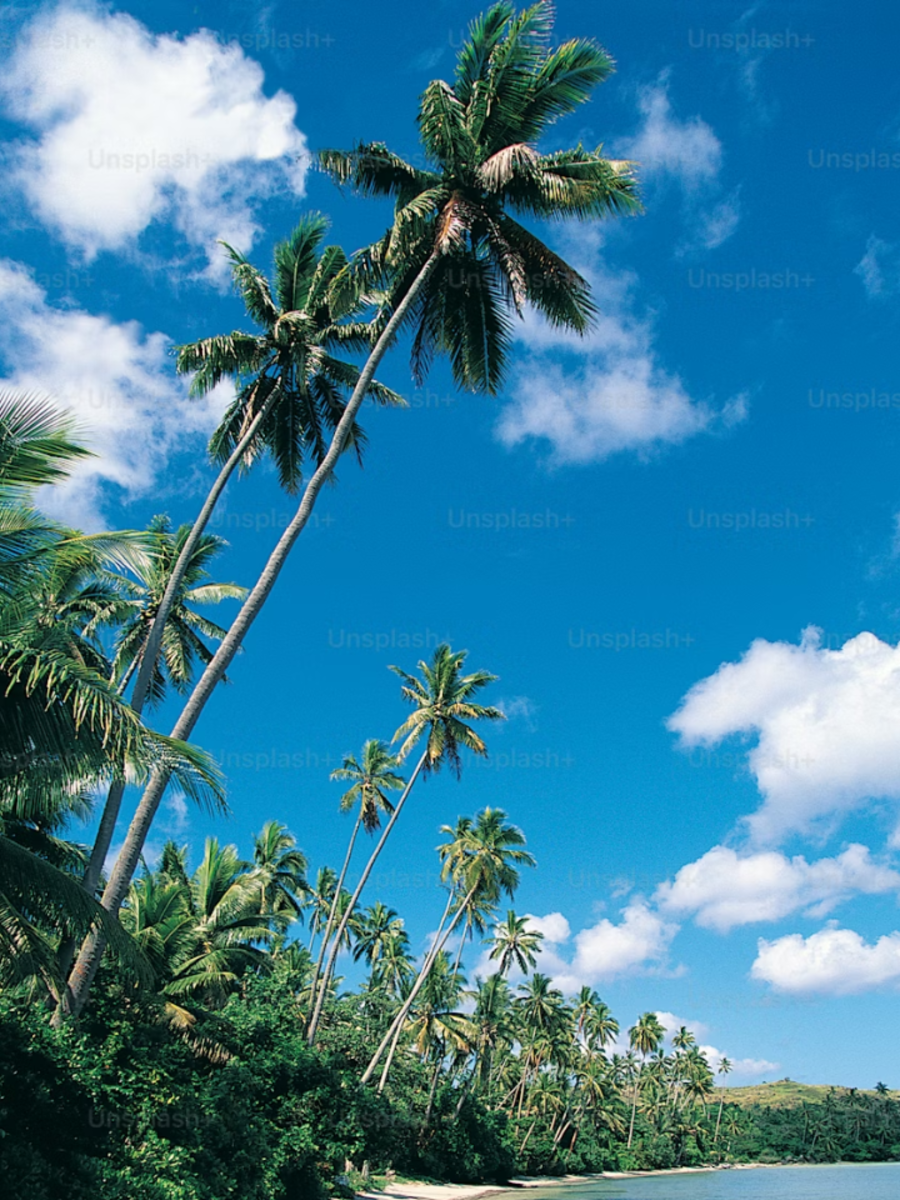 Try These 8 Offbeat Goan Experiences During Monsoon | Times Now