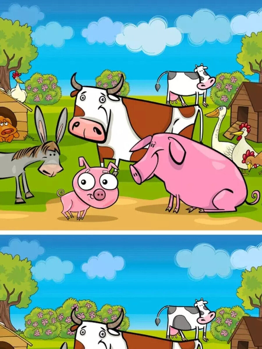 Spot the Difference: Can You Solve This Puzzle in 50 Seconds or Less ...