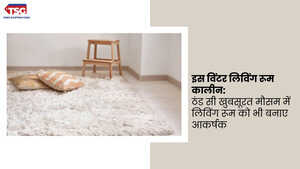 कारपेट जो आपके लिविंग रूम को देंगे रिफ्रेशिंग लुक
