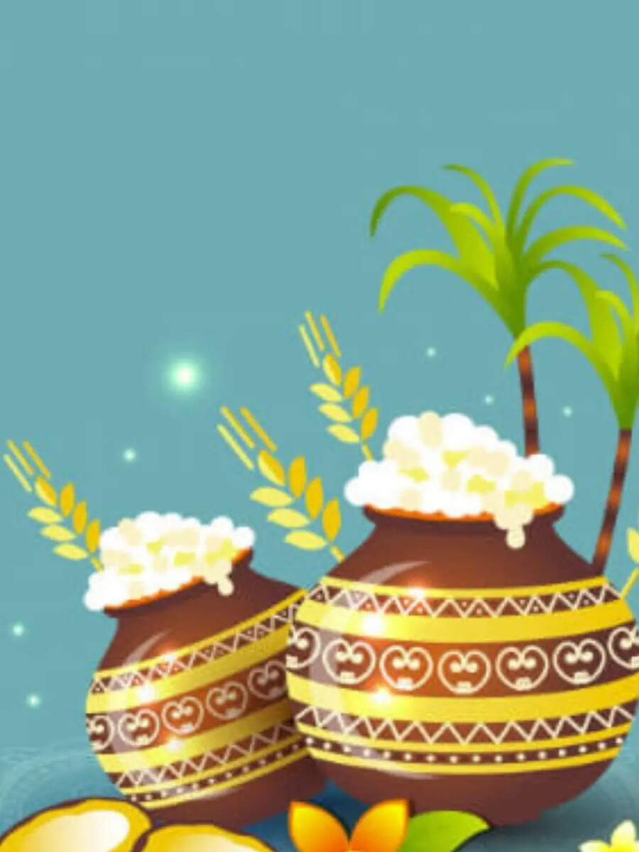  Pongal 2025: பொங்கலை இத்தனை வகைகளில் செய்யலாம் தெரியுமா ? 