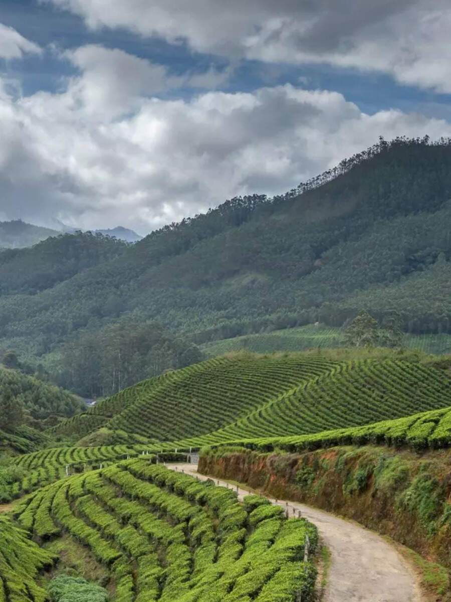  கேரளா, பெங்களூரு, கோவை, ஆந்திரா - தென்னிந்தியாவின் 10 அழகிய சாலைப் பயணங்கள் 