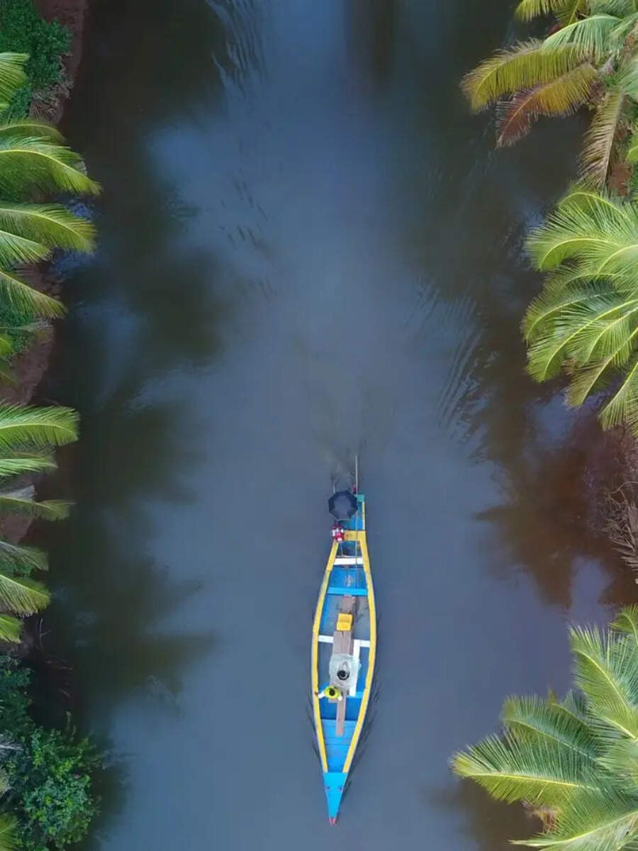  Kerala 2025: மலைகள் முதல் காயல் வரை: கோடை காலத்தில் கட்டாயம் பார்க்க வேண்டிய 10 இடங்கள் 