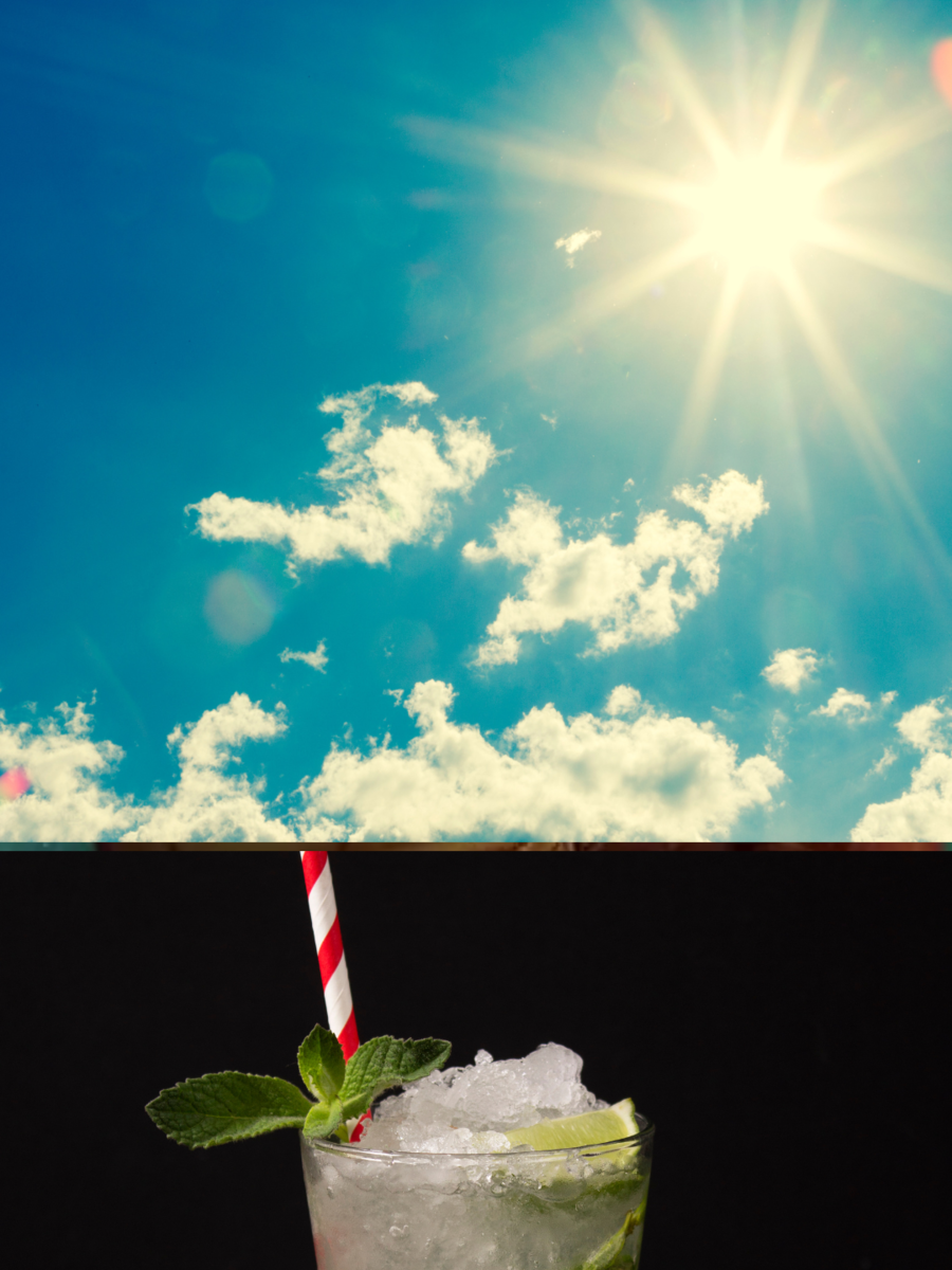  Kerala Sarbath: அடிக்கற வெயிலுக்கு இதமா கேரளா ஸ்டைல் குலுக்கி சர்பத் இப்படி செஞ்சு பாருங்க 