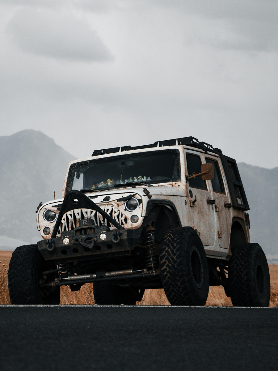 5 Sturdy Off-Road Cars That Can Conquer Toughest Terrains: Toyota Hilux ...