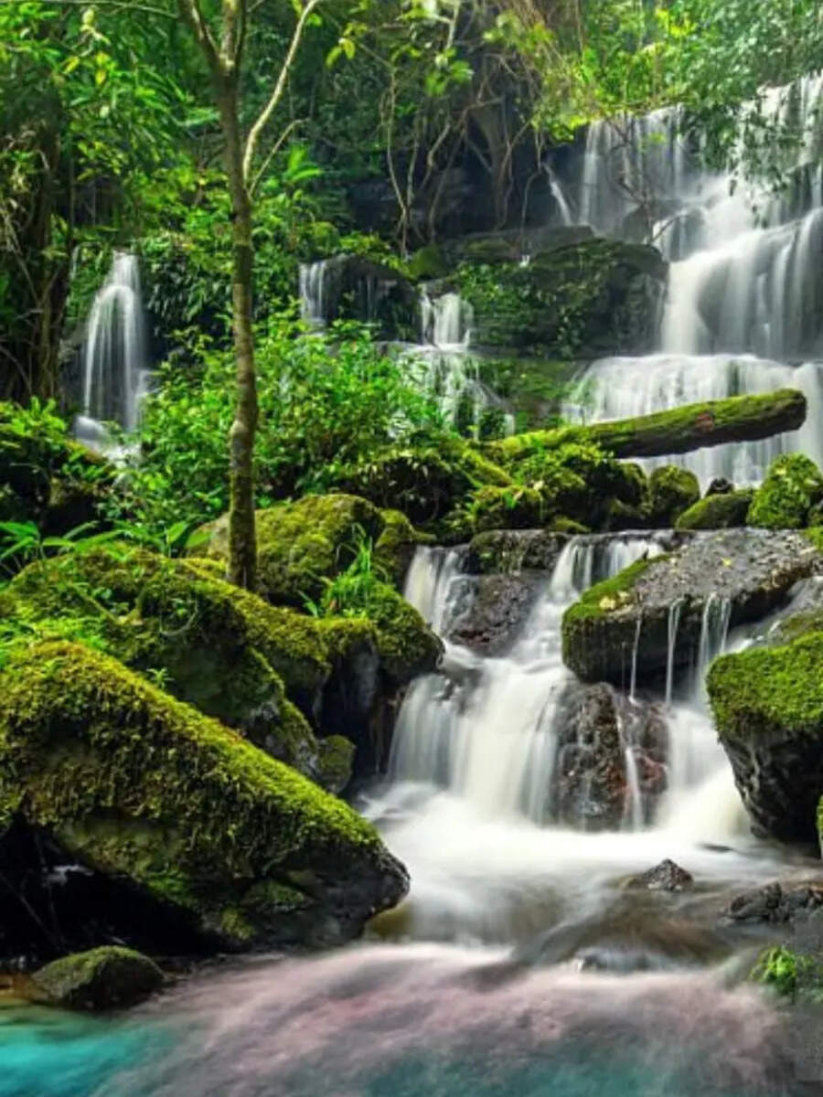  கேரளாவில் புதிதாக டிரெண்டாகும் இந்த குளிர்ச்சியான அருவி பற்றி தெரியுமா.. மிஸ் பண்ணாம போங்க 