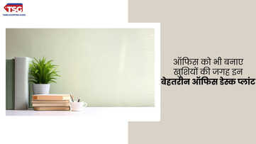 आपके वर्कप्लेस को ख़ास बनाए इन अपीलिंग ऑफिस डेस्क प्लांट के साथ