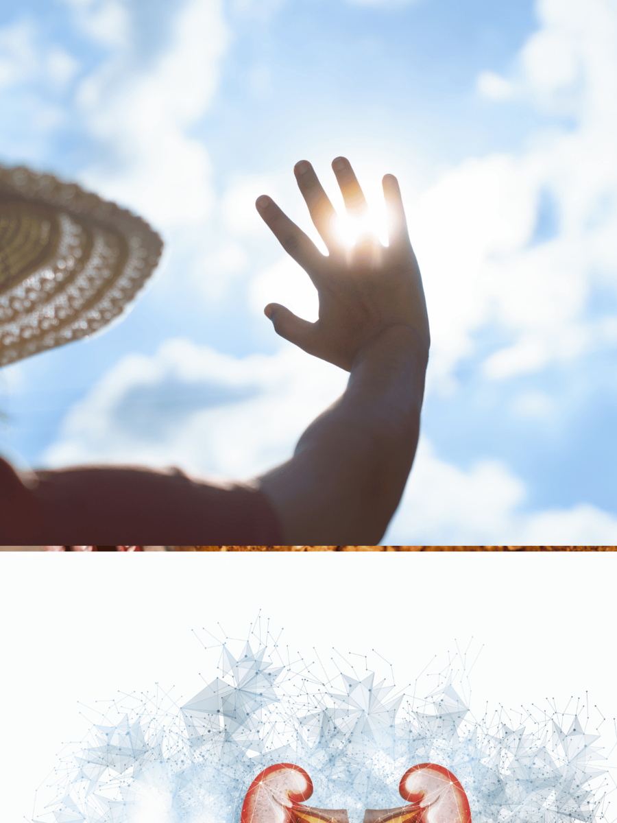  Kidney Health: ஹீட் ஸ்ட்ரோக், அதிக வெப்பம் கிட்னி ஆரோக்கியத்தை பாதிக்குமா? 