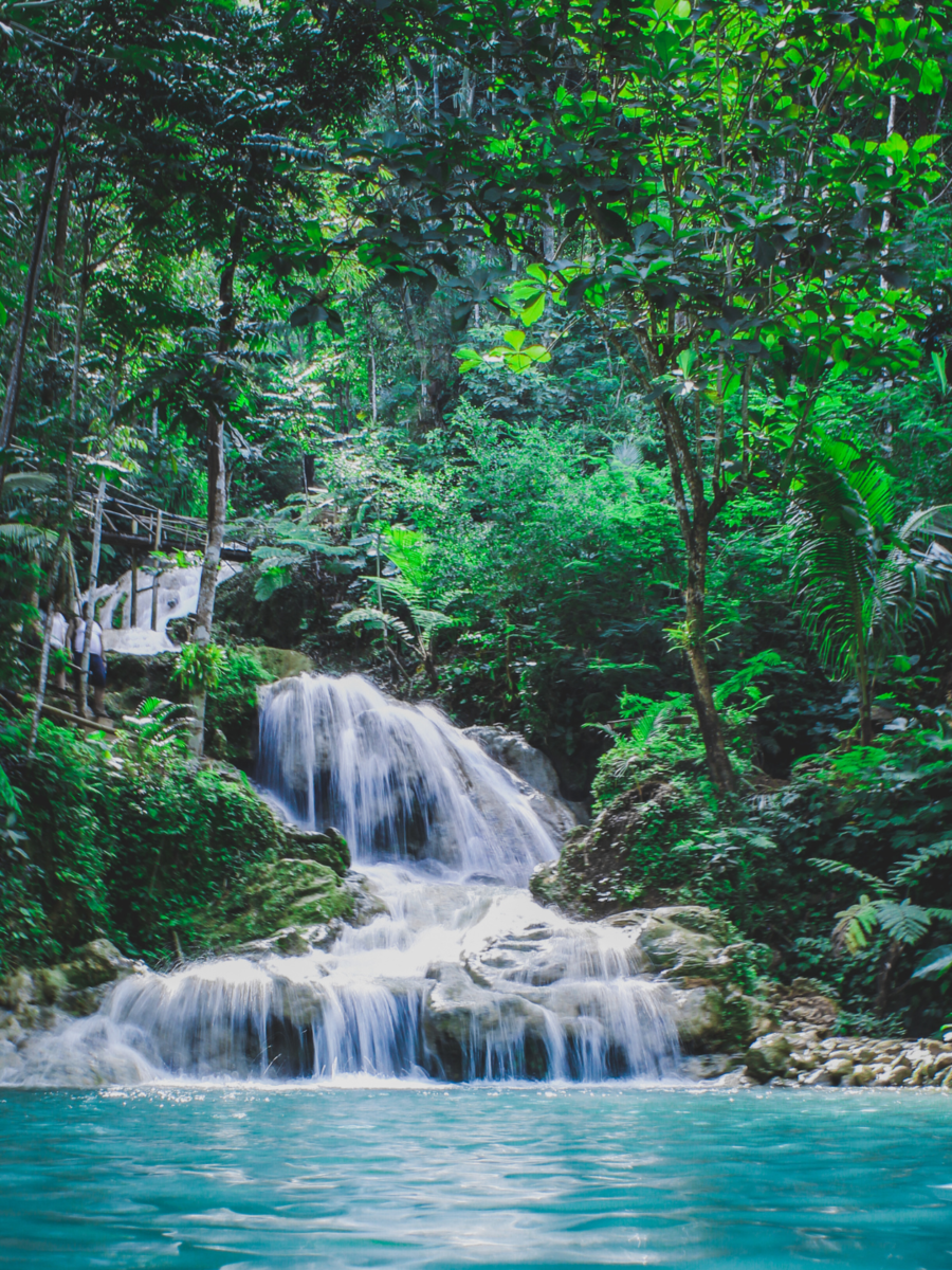  Cool Waterfalls: திருவண்ணாமலையில், மலைக்கு அருகில் இப்படி நீர்வீழ்ச்சிகள் இருக்கு தெரியுமா 