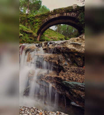 Summer Travel Affordable Hill Stations Which Are Within 500 Kms From Delhi