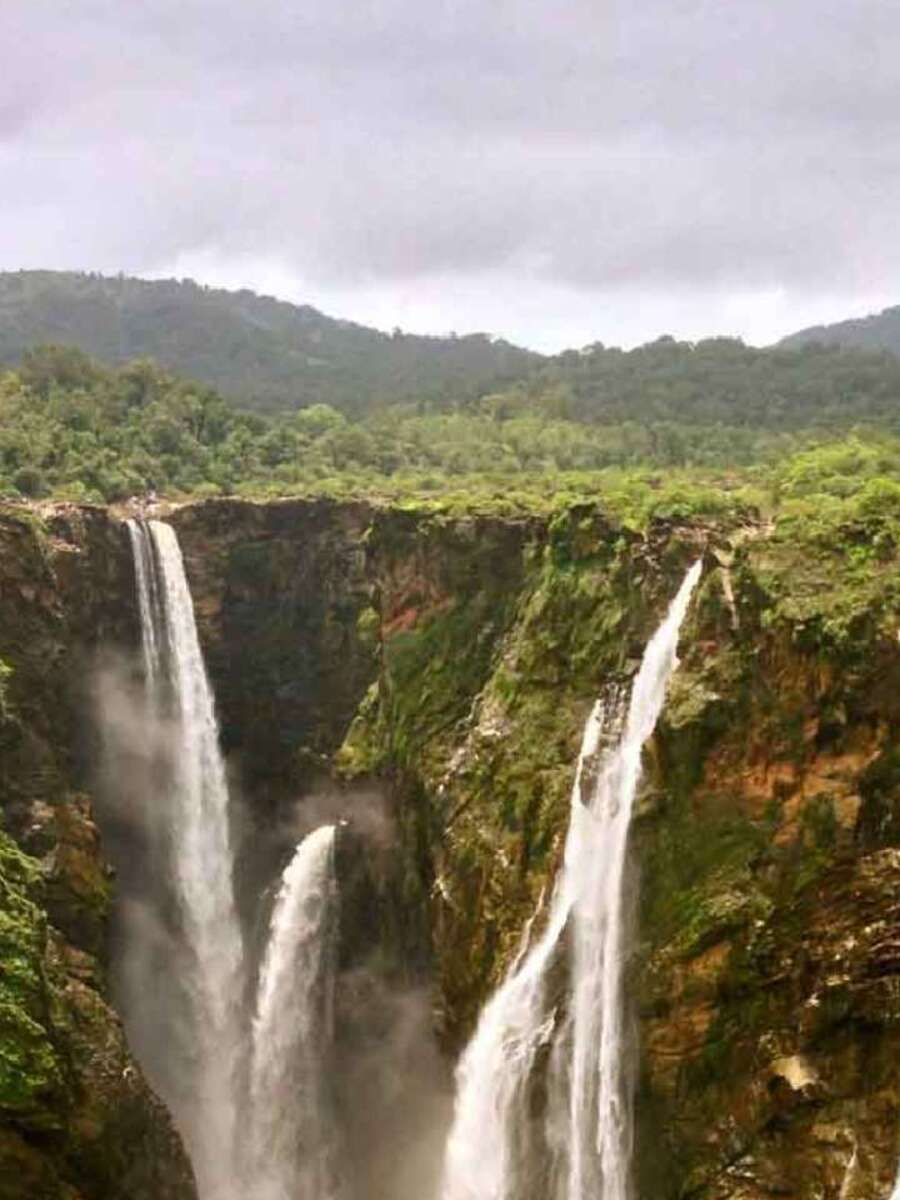  குளுமையான நீர்வீழ்ச்சி: அருவிகளின் படத்தை வீட்டின் எந்த திசையில் வைக்க வேண்டும்? 