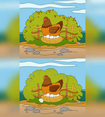 Puzzle Find the 5 Differences Between These Identical-Looking Pictures