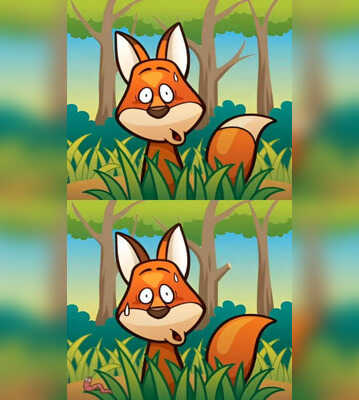 Puzzle Spot 5 Differences in 10 Seconds And Win the Challenge