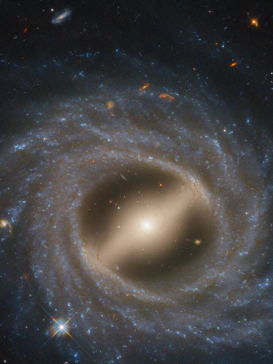 コレクション NASA SPACE COLLECTION Photo Venus as Seen by Akatsuki🌌 Here's a stunning view of Venus