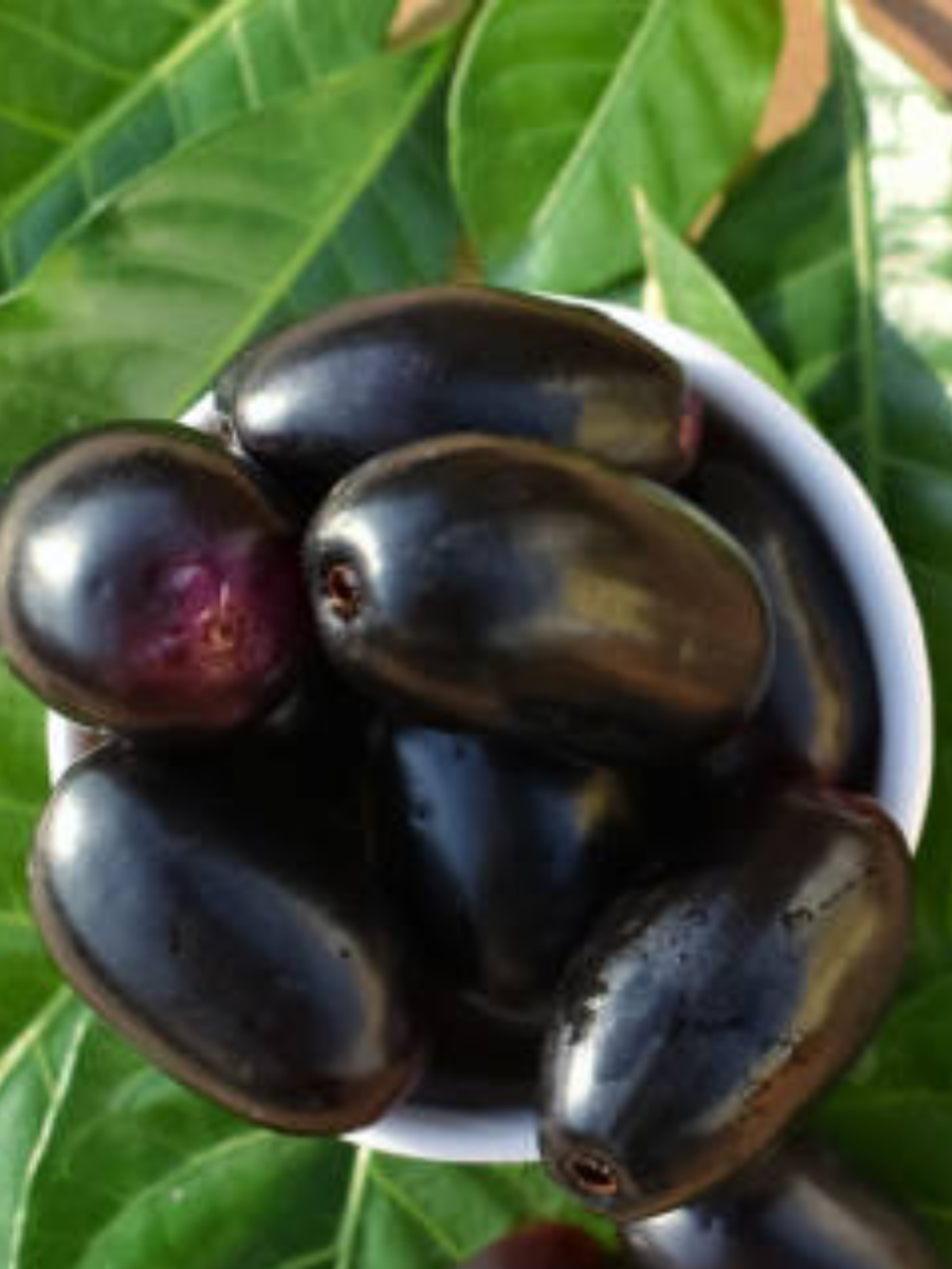 9 Health Benefits Of Jamun You Shouldn't Miss This Summer | Times Now