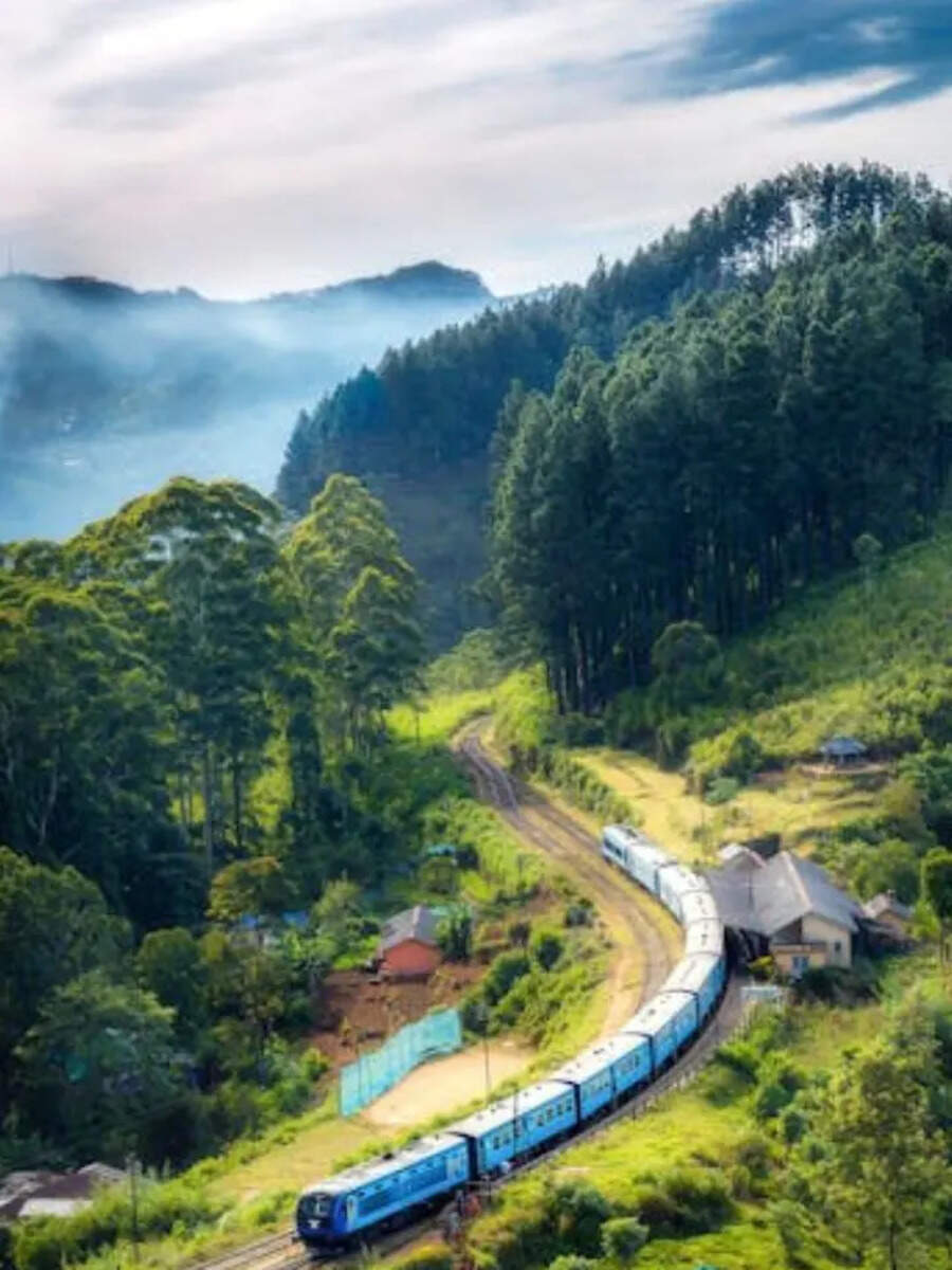  தமிழ்நாட்டுக்கு அருகில் ஒரு 'குட்டி டார்ஜிலிங்'.. கேரளாவை மிஞ்சும் அழகிய மலை பிரதேசம்! 