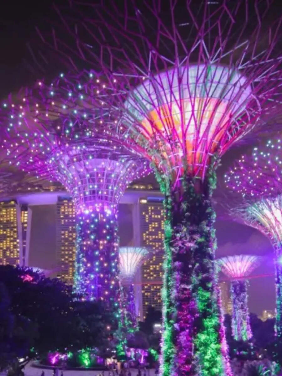  இனி புதுச்சேரி எதுக்கு.. நம்ம சென்னைலயே சிங்கப்பூர் லெவலுக்கு ஒரு சுற்றுலா ஸ்பாட் வருது! 