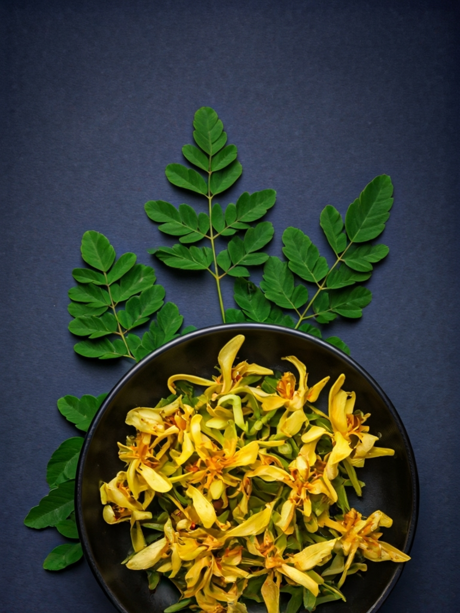  ஒரு ஸ்பூன் முருங்கைபூ, கொஞ்சம் நெய் - தினமும் சாப்பிட்டு வாங்க... என்னென மாற்றம் நடக்கும்? 