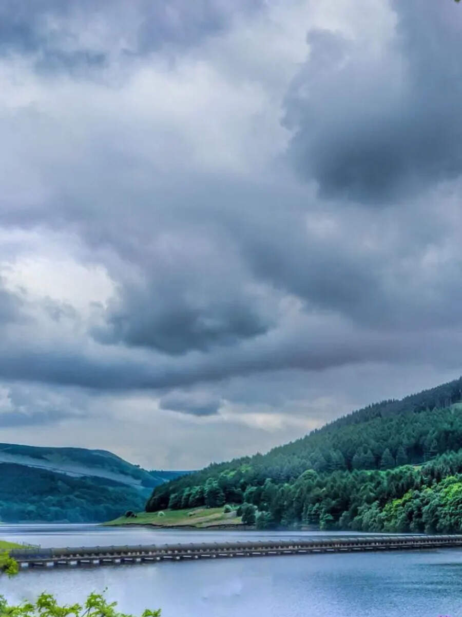  கேரளா வயநாட்டில் ஒளிந்திருக்கும் அதிசய மழைக்காடு.. இங்கு  இப்படியொரு மலை பிரதேசம் இருக்கா? 