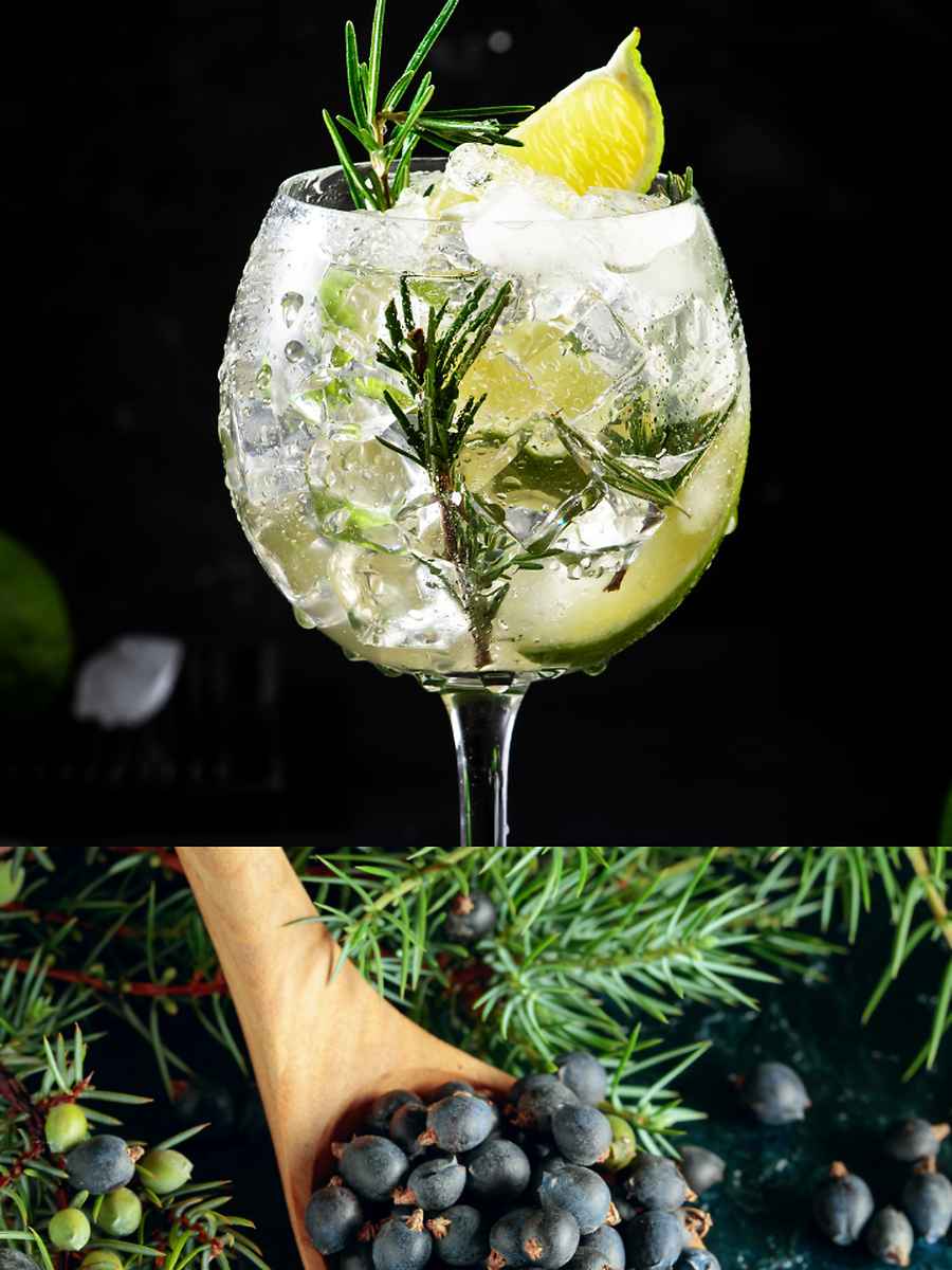 Juniper Berries: Key Ingredient and Historical Roots in Gin