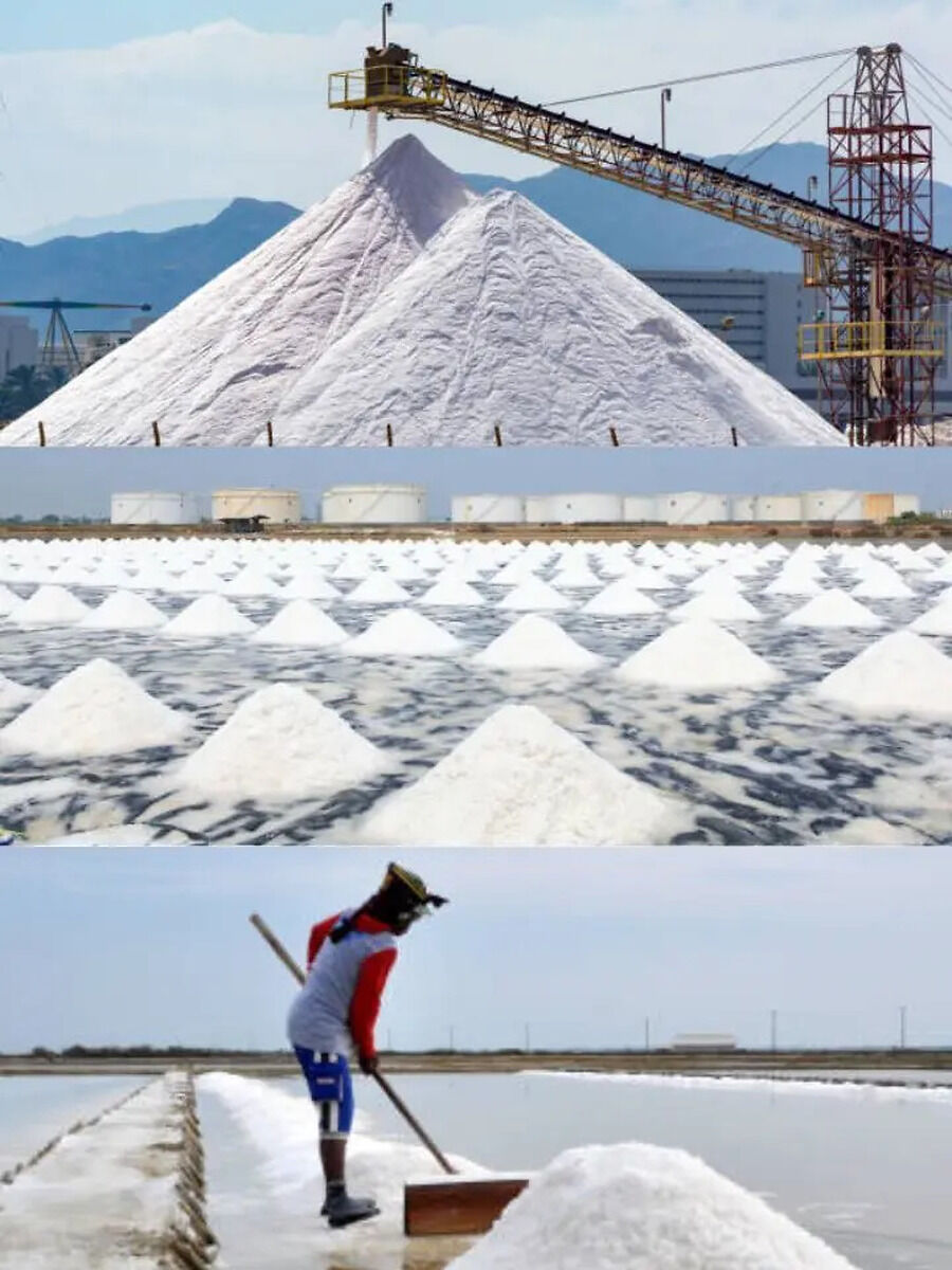 Which Country Is The Largest Salt Exporter In The World, India At What ...